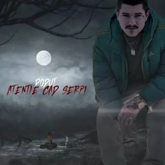 Coperta „Atenție, cad șerpi” – Derek Music feat. Doduț